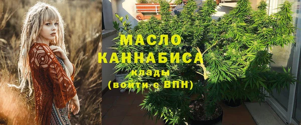 хмурый Бородино