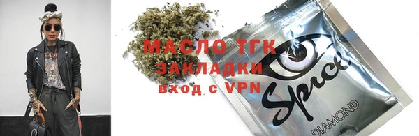 хмурый Бородино