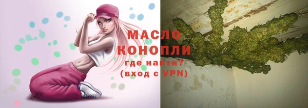 хмурый Бородино