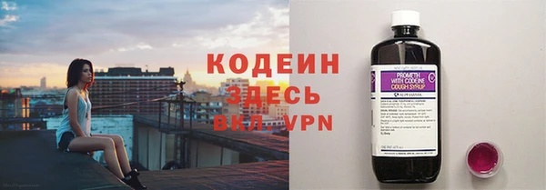 хмурый Бородино