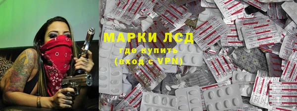 хмурый Бородино