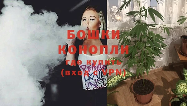 ПСИЛОЦИБИНОВЫЕ ГРИБЫ Бугульма