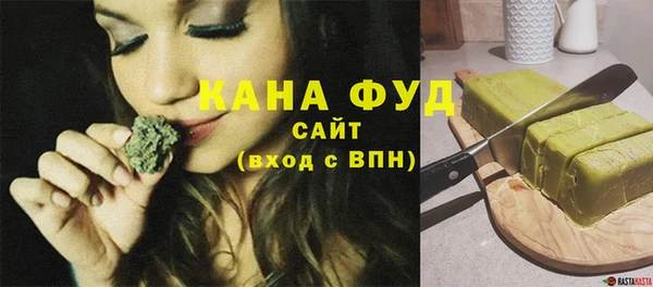 хмурый Бородино